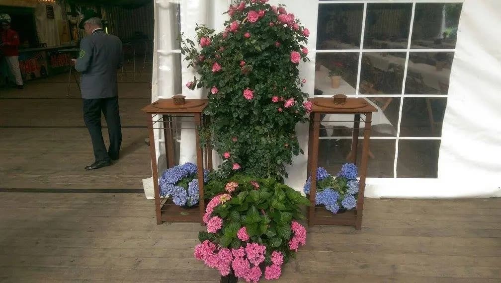 Schützenfest 2016 119