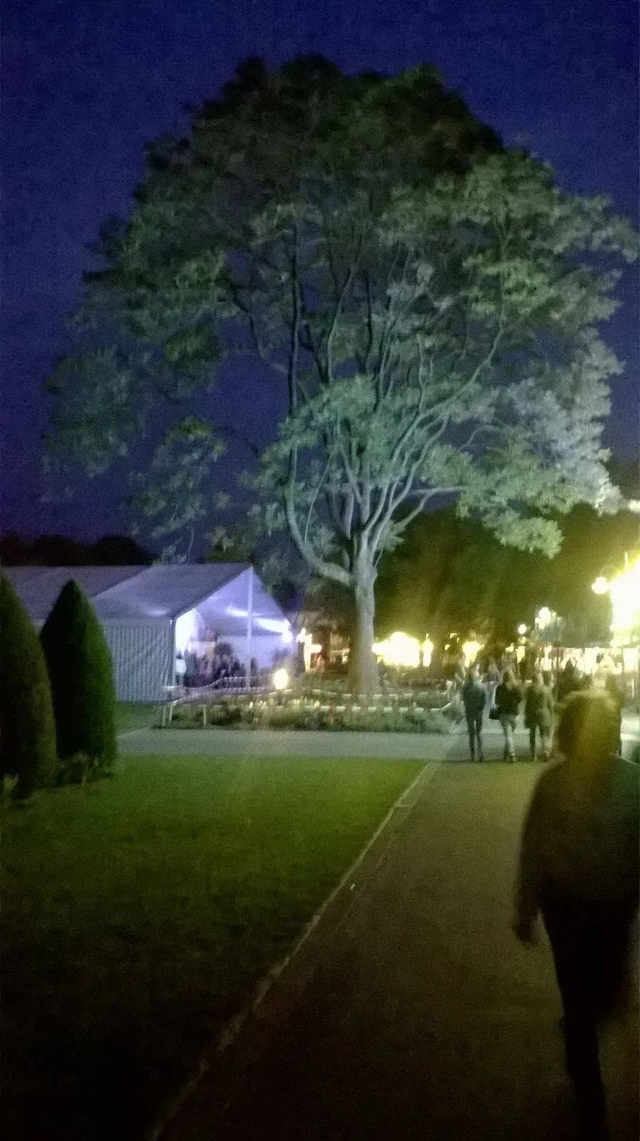 Schützenfest 2016 179