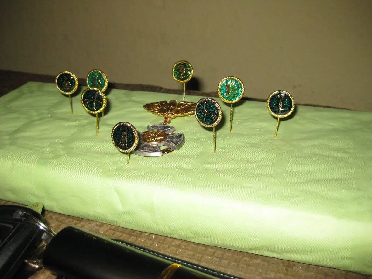 Vogelschießen 2015 2