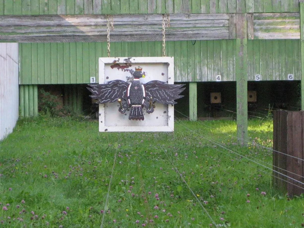 Vogelschießen 2015 3