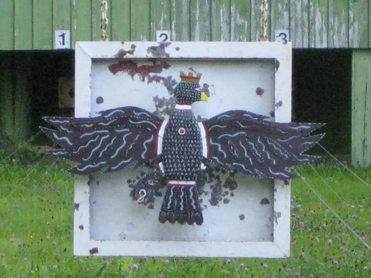 Vogelschießen 2015 13