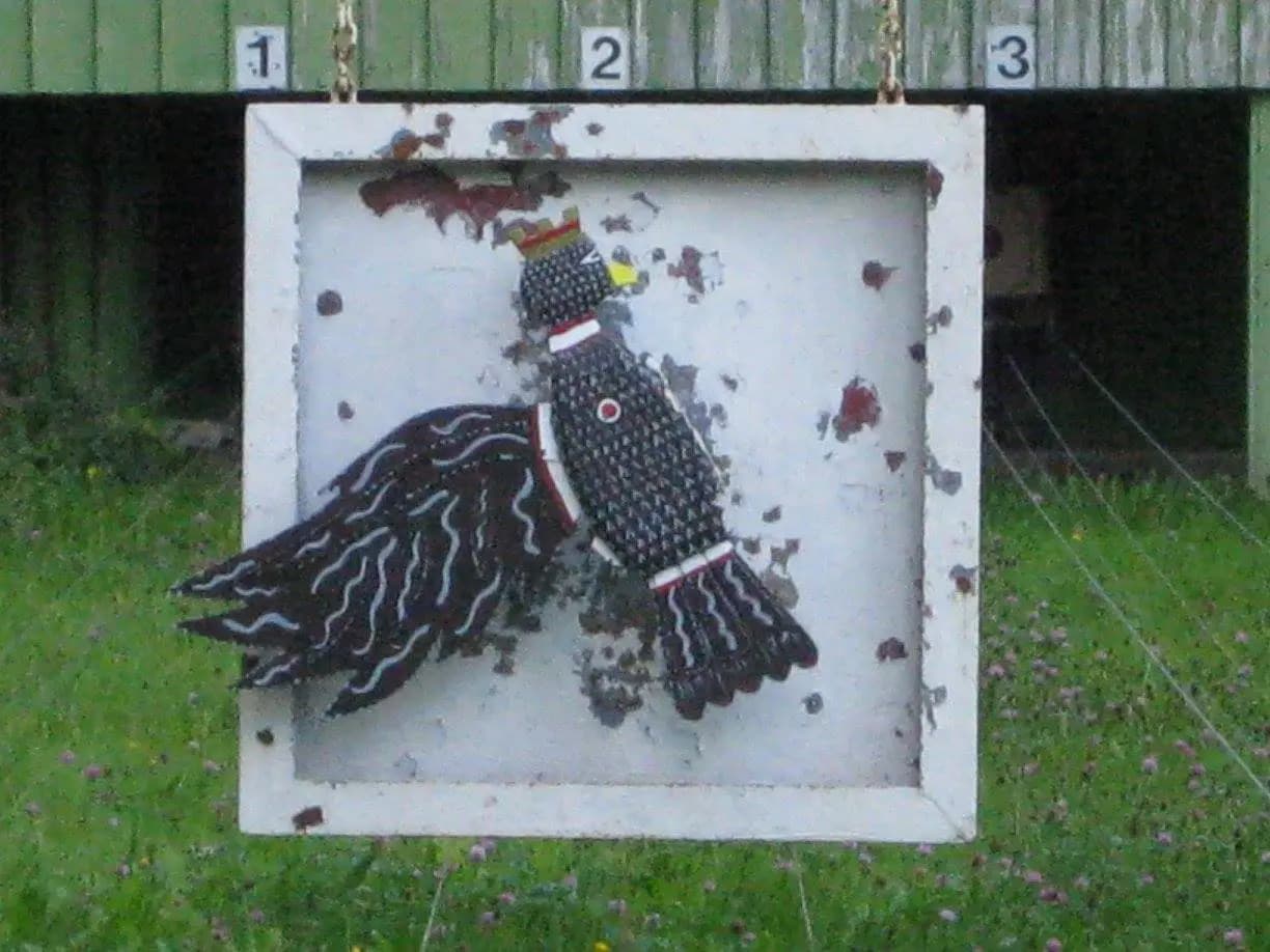 Vogelschießen 2015 26