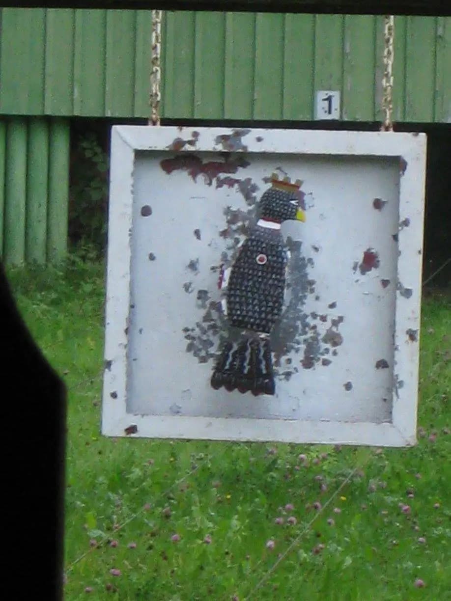 Vogelschießen 2015 29