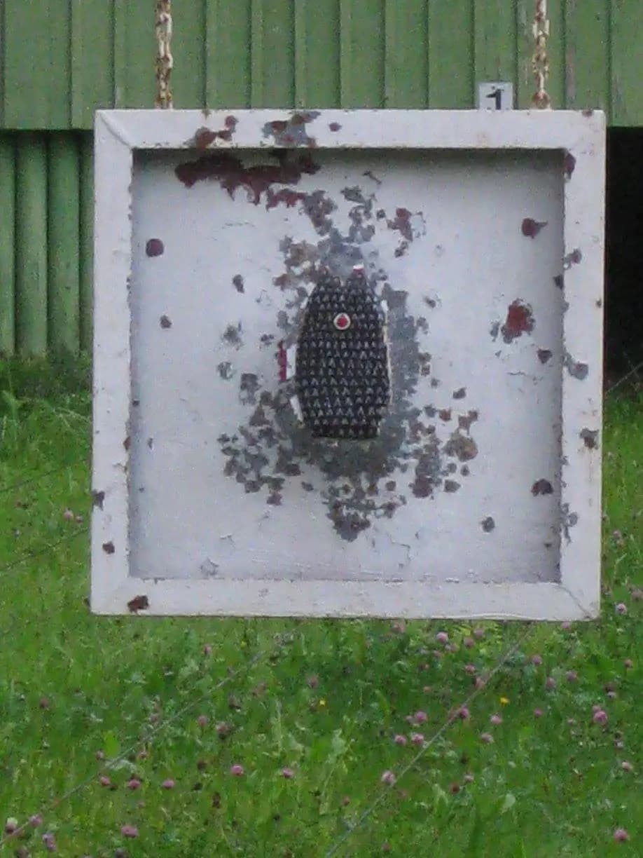 Vogelschießen 2015 38