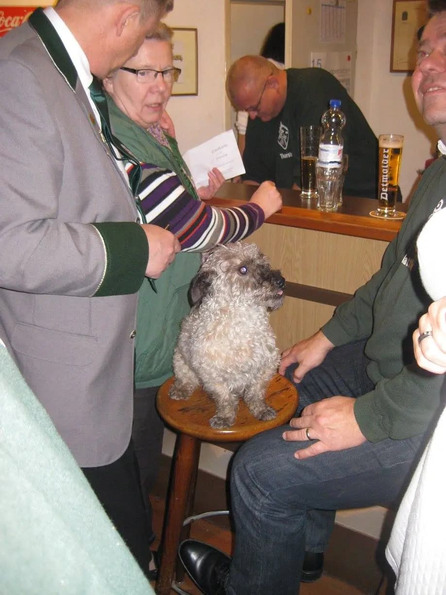 Vogelschießen 2015 80