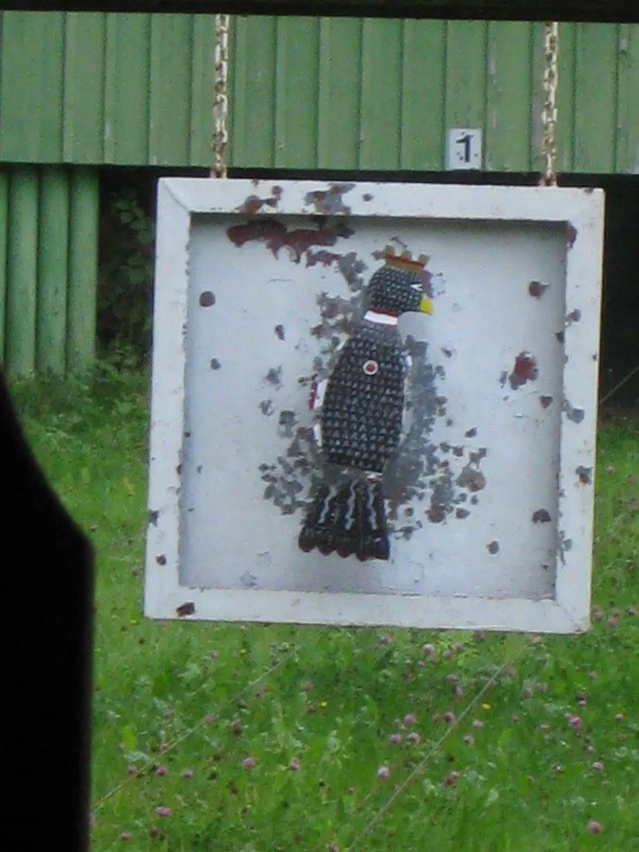 Vogelschießen 2015 29